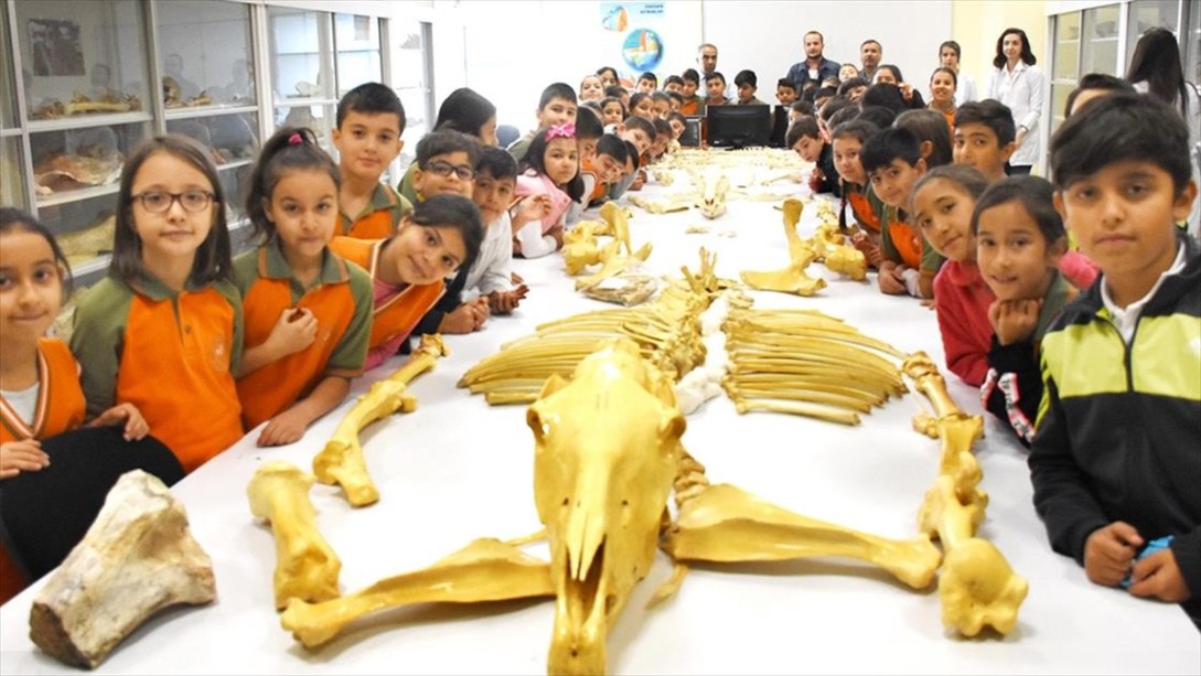 Anadolu Tarihini Milyon Yıllık Fosillerle Öğreniyorlar