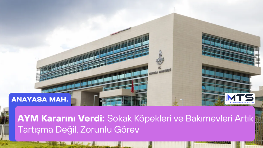 AYM Kararını Verdi: Sokak Köpekleri ve Bakımevleri Artık Tartışma Değil, Zorunlu Görev