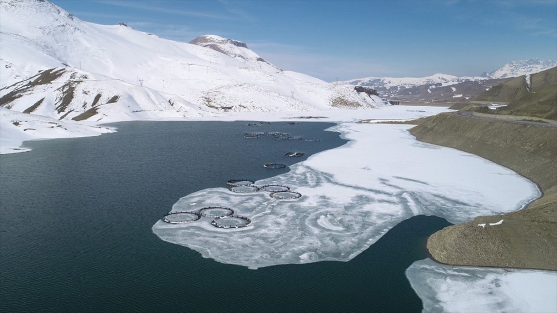 Buzlar Çözülünce Balık Avlamaya Başladılar
