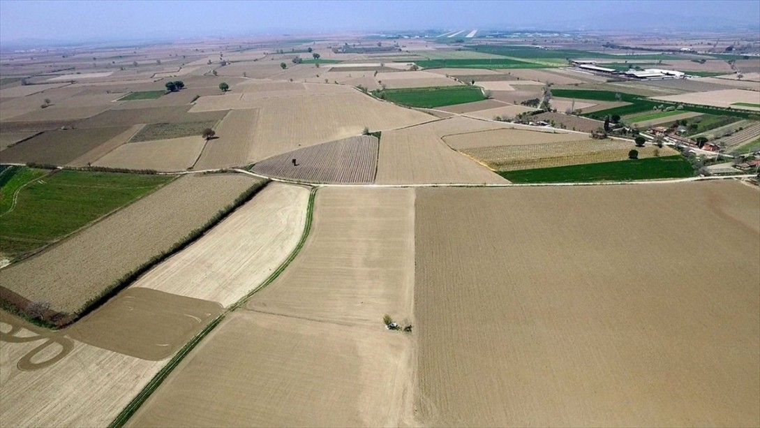 Ege'nin Kullanılmayan Arazileri Tarıma Kazandırılıyor
