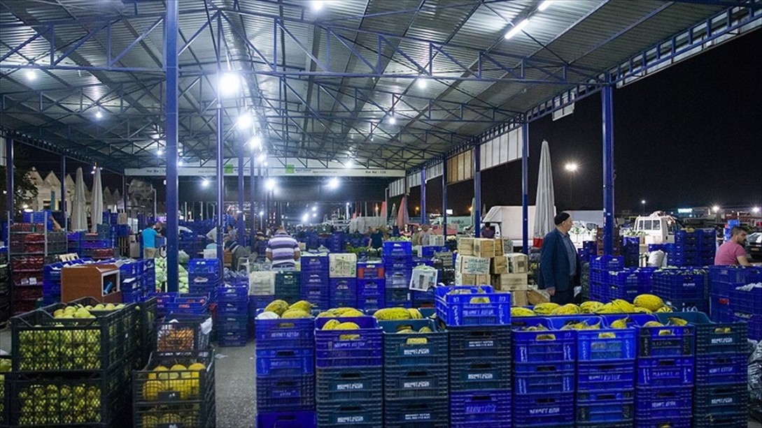 Hal Yasası Düzenlemesi