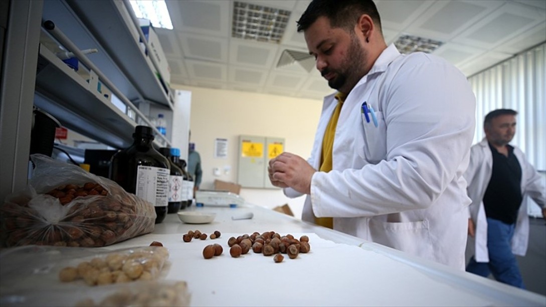 Kanser Tedavisinde Milli İlaç Adımları