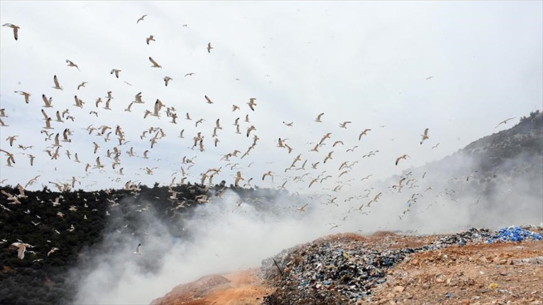Katı Atıklar 30 Yılda Yüzde 70 Artacak