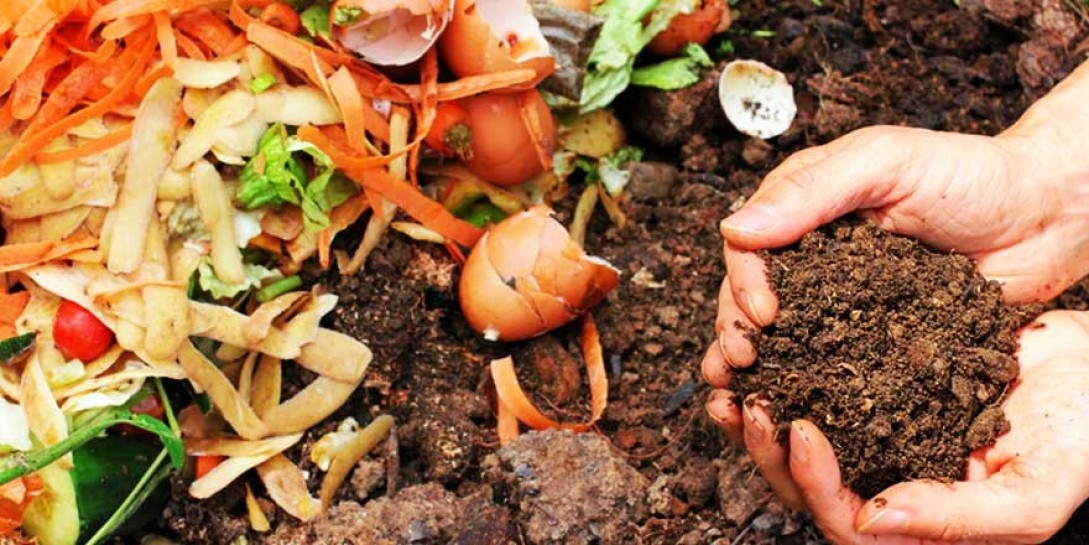 Keçiören Belediyesi, “Organik Atık” Getirene “Organik Gübre” Hediye Ediyor