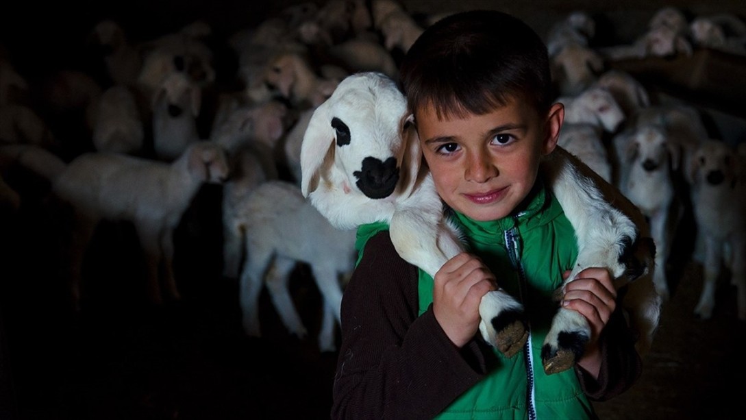 Konya'da Üreticinin Ağılında 'Mart' Bereketi