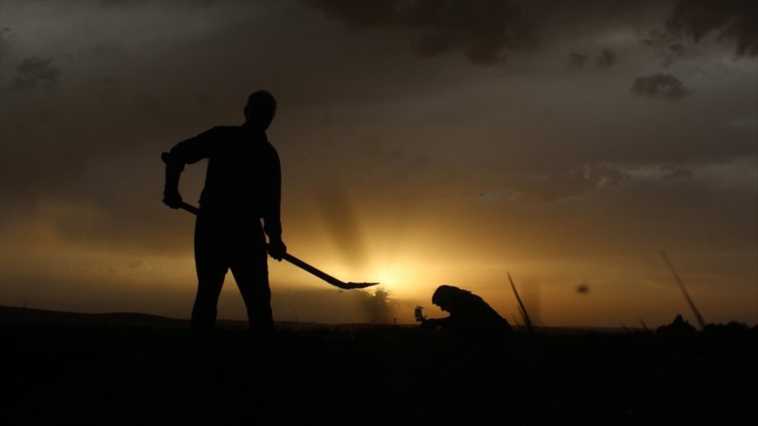 Köye Dönüşe 'Proje' Desteği