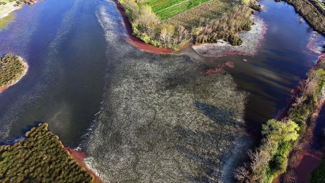 'Kuş Cenneti' ve 'Batık Minare' Ziyaretçilerini Bekliyor