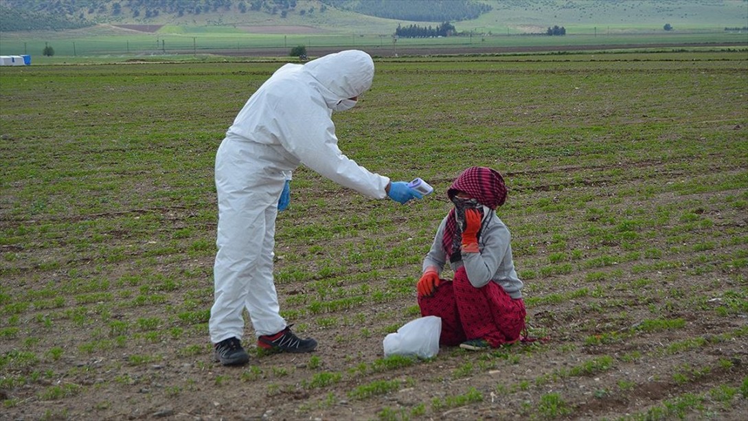 Sağlık Bakanlığından Mevsimlik Tarım İşçilerine Yönelik Kovid-19 Tedbirleri