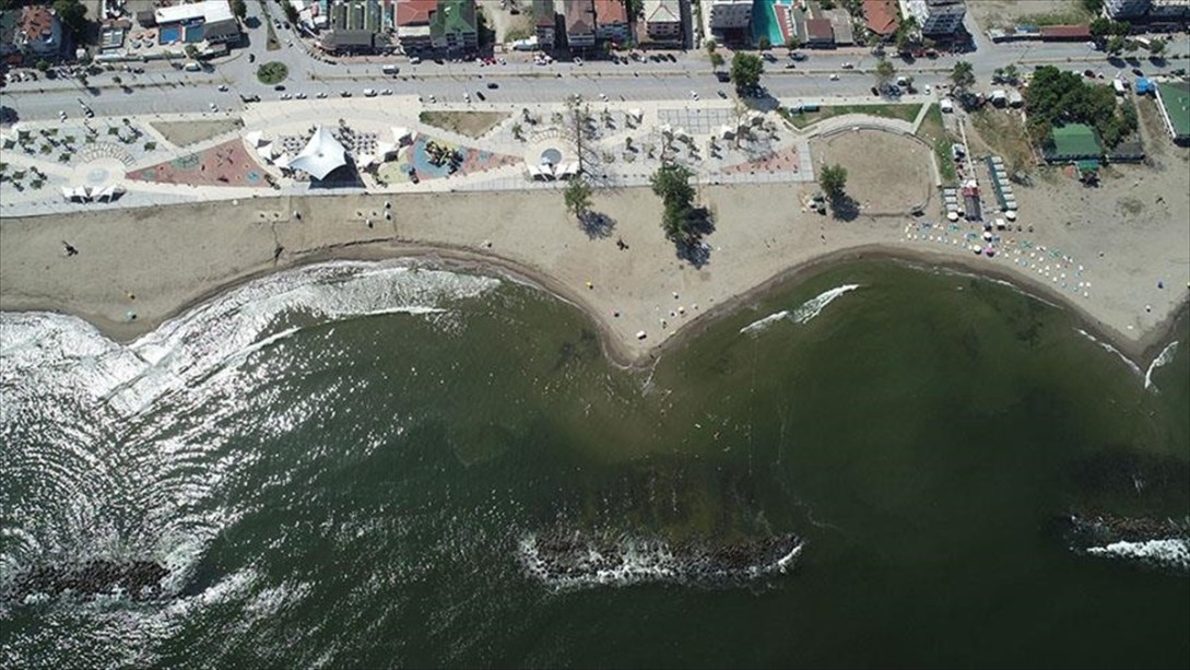 Sakarya Karasu'da Salgın Bitti