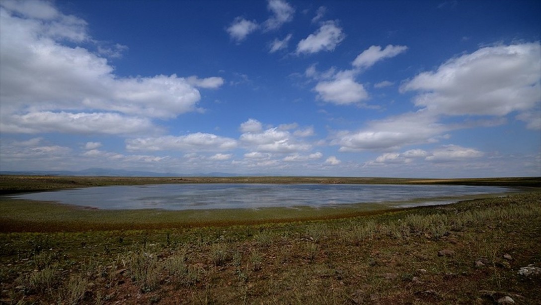 Sarıkamış Asboğa Gölü Turizme Kazandırılacak