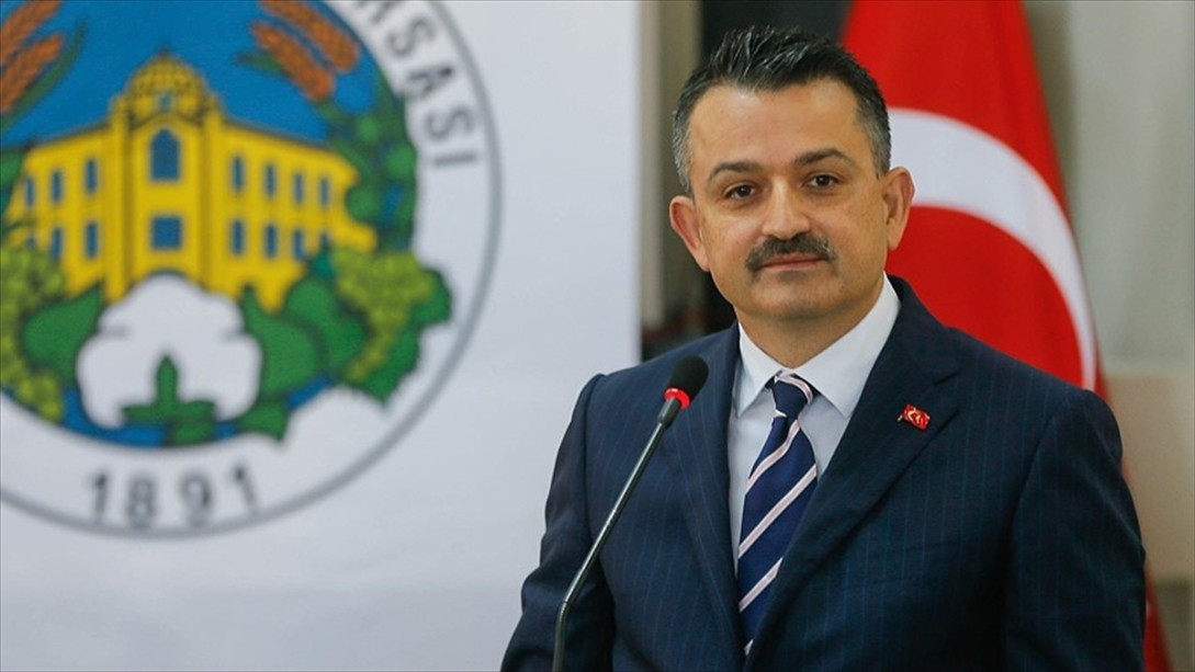 Yanan Alanlar Tekrar Orman Alanı Olacak