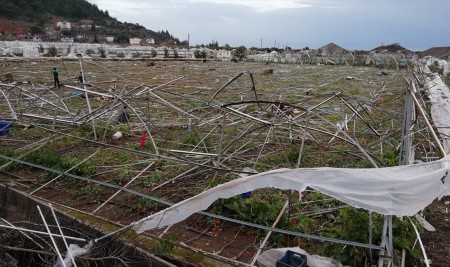 Afet Mağduru Çiftçiye 1,1 Milyar Liralık Hasar Tazminatı