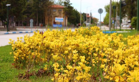 Beyşehir Belediyesi Şehri Güzelleştirmeye Devam Ediyor
