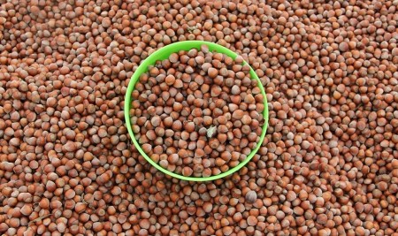 Doğu Karadeniz'den 101 Ülkeye İhracat