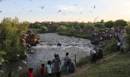 'Doğunun İncisi' Van Turistleri Cezbediyor