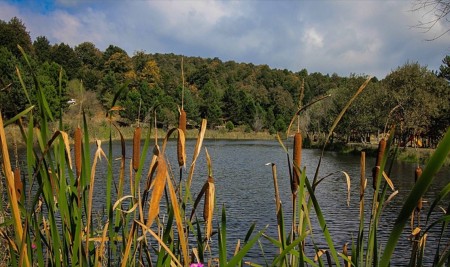 Domaniç Dağları'nda Sonbaharın İlk Renkleri