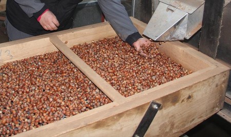 Erdoğan'dan Fındık Üreticilerine Müjde