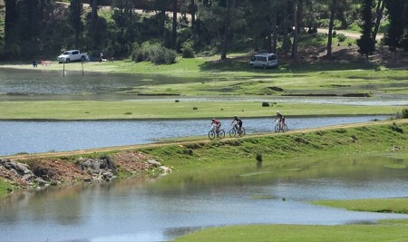 Eylem Planında 'Daha Yeşil Şehirler' Hedefi