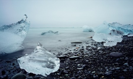 İklim Değişikliği Gezegendeki En Önemli Yaşamsal Tehdit