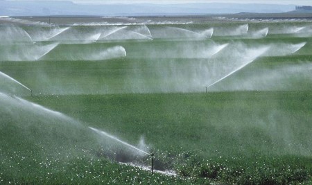 Kamunun Tarım Yatırımlarında Sulama Dopingi
