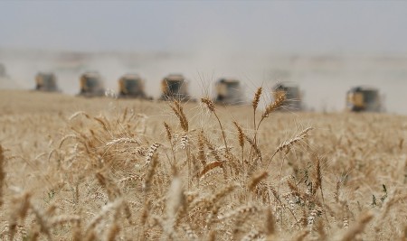 Kırsalda Projelerle Kalkınma Seferberliği