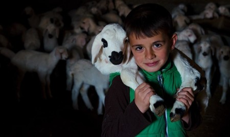 Konya'da Üreticinin Ağılında 'Mart' Bereketi
