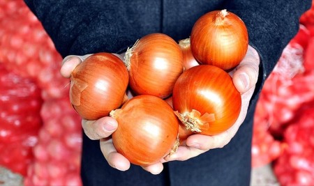 Kuru Soğanda Gümrük Vergisi Geçici Olarak Sıfırlandı