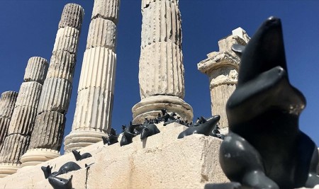 Mitolojik Fareler, Apollon Tapınağında
