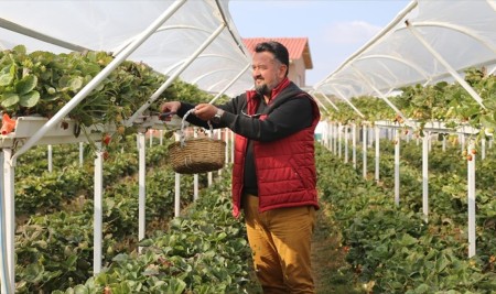 Sıradışı Girişim: 'Çilek Park'a Dönüştü