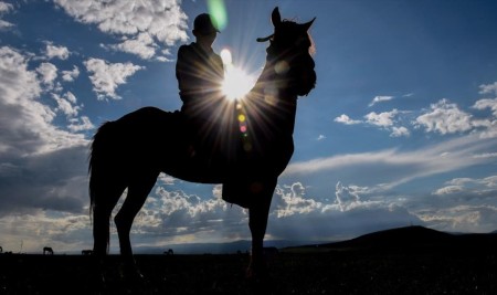 Yahni Dağı'nda Doğada Otlatılan Atlar İlgi Çekiyor