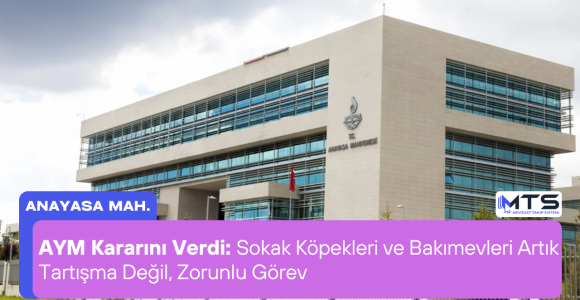 AYM Kararını Verdi: Sokak Köpekleri ve Bakımevleri Artık Tartışma Değil, Zorunlu Görev