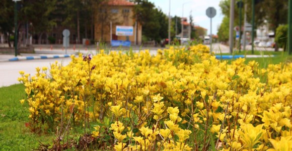Beyşehir Belediyesi Şehri Güzelleştirmeye Devam Ediyor