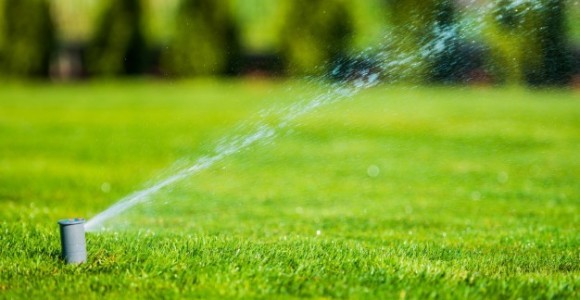 Çağ Çağ Sulama Birliğinden Kura İle İşçi Alımı