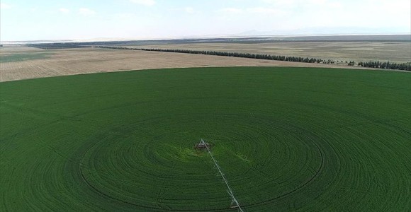 Çiftçiler Hazine Arazilerinden Faydalanabilecek