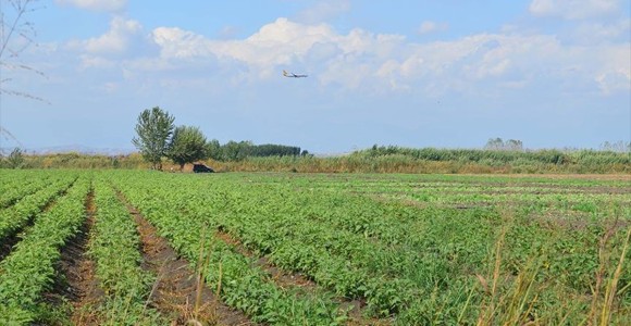 Çiftçilerin Hazine Arazilerini Kiralayabilmesi İçin Son Fırsat