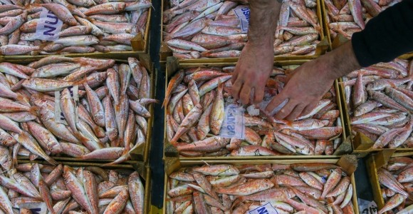 Egeli Balıkçılar Sezonu Bereketli Kapatıyor