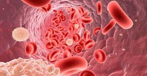 En Sık Görülen Kanser Türleri Arasında "Prostat"