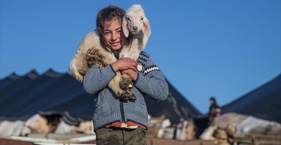 Göçebe Hayatların Çadırda Çetin Kışı