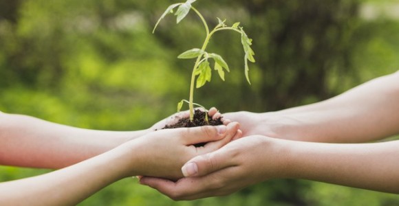 Güneş Enerjisi; Rüzgar, Hidroelektrik ve Kömürü Geride Bırakacak