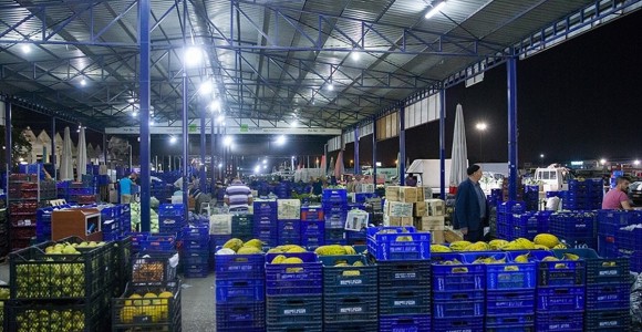 Hal Yasası Düzenlemesi