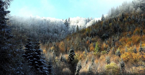 Kastamonu'da Sonbaharın Renk Cümbüşü