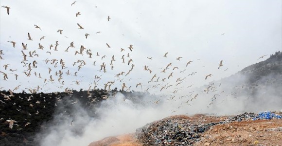 Katı Atıklar 30 Yılda Yüzde 70 Artacak