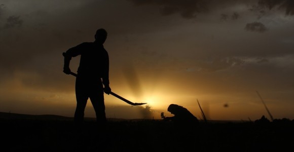 Köye Dönüşe 'Proje' Desteği