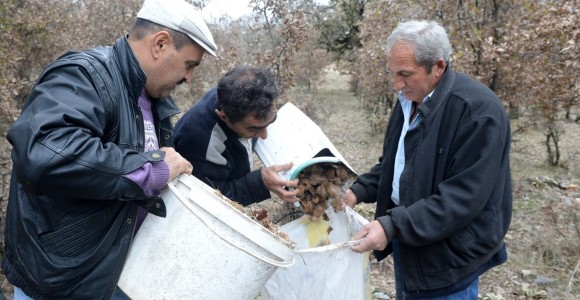 Muhtarın Girişimi Köylüye Gelir Kaynağı Oldu