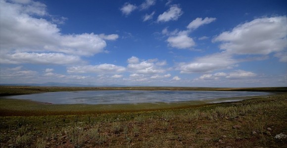 Sarıkamış Asboğa Gölü Turizme Kazandırılacak