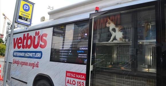 Sokak Hayvanları İçin 'Vetbüs' Hizmeti