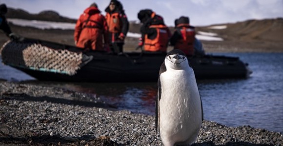 Türk Ekibi Antarktika’ya Ayak Bastı