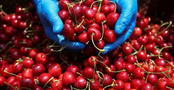 Türk Tarım Ürünleri İçin Markalaşma Atağı