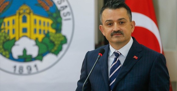 Yanan Alanlar Tekrar Orman Alanı Olacak