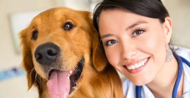 Bağcılar'da 4 Bin 644 Sokak Hayvanına Kuduz Aşısı